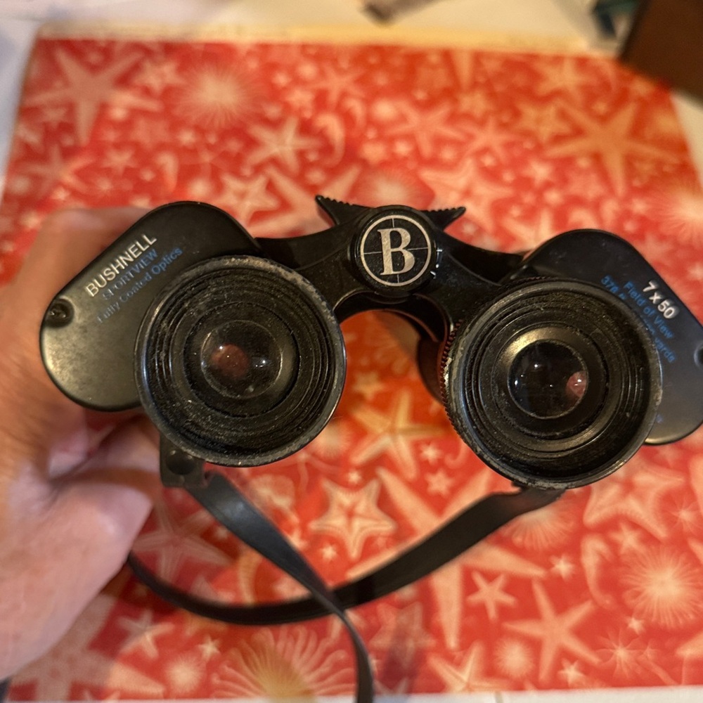 Vintage Bushnell 7x50 Black Binoculars in great condition.